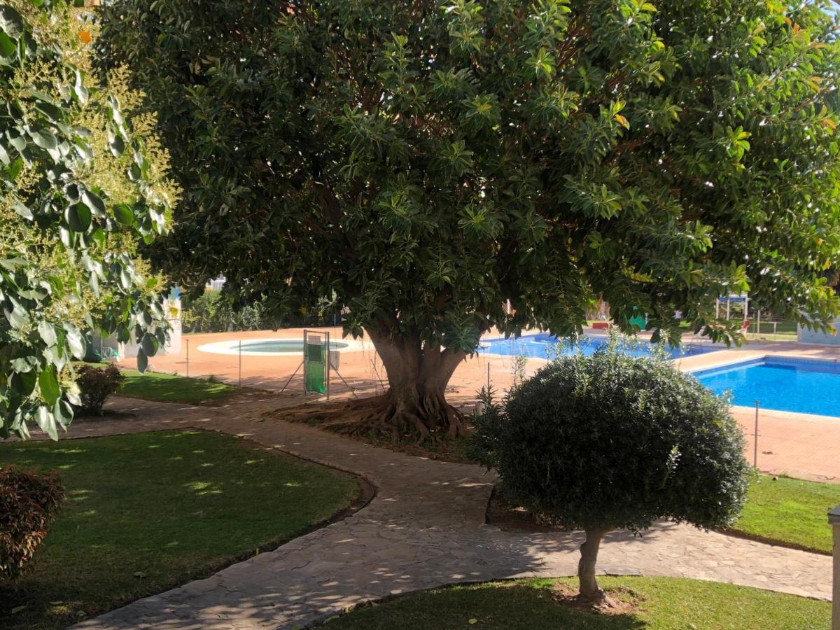 Estudio Vacacional Benalmadena Playa Benalmádena Exterior foto